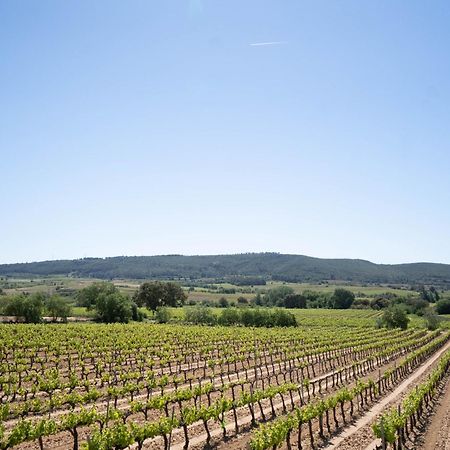 Sant Cugat de Sesgarrigues Cal Llopヴィラ エクステリア 写真