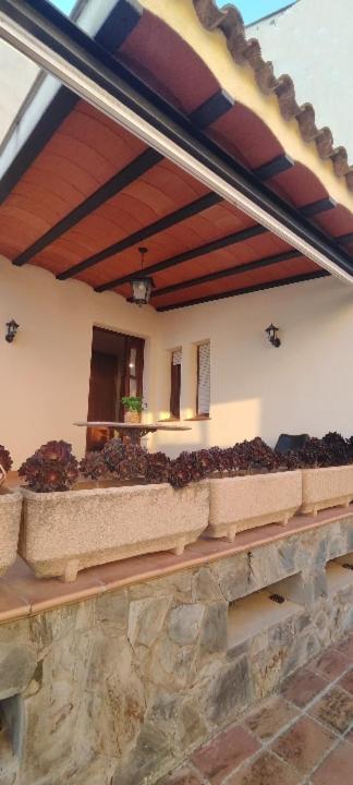 Sant Cugat de Sesgarrigues Cal Llopヴィラ エクステリア 写真